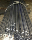 T/T Payment Carbon Steel Bar with Hot Rolled and Cold Rolled Options